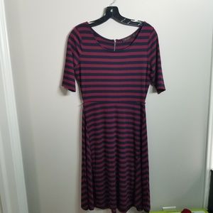 The Limited Navy Stripped Dress